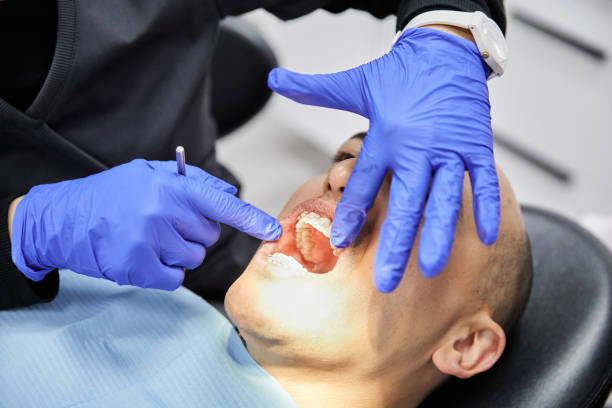 Best Emergency Orthodontic Repairs in Harbor Springs, MI